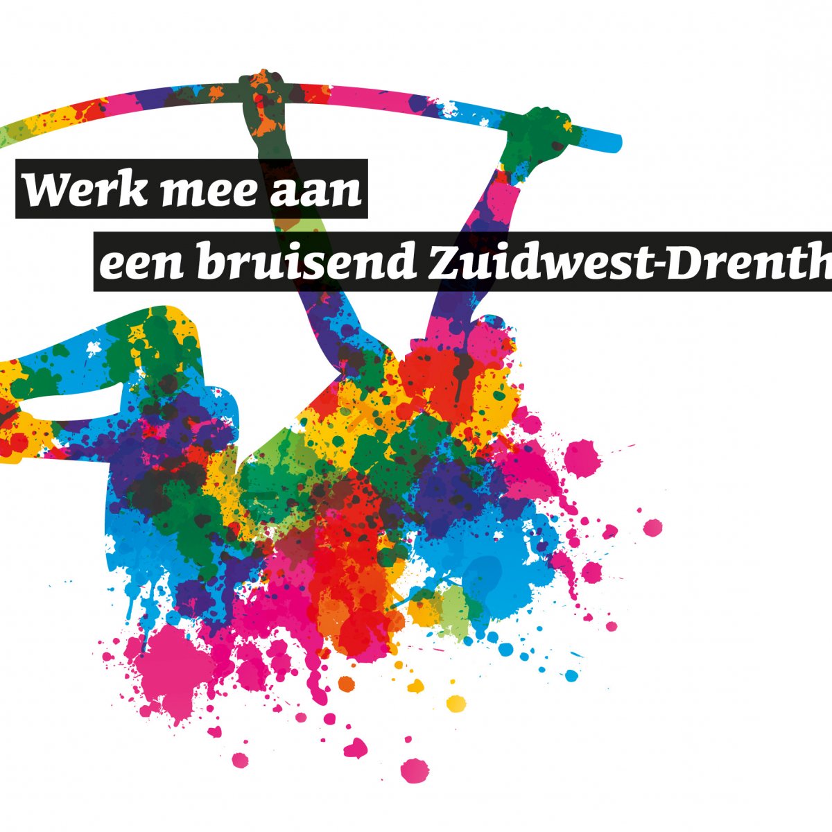 beeld-leader-zuidwest-drenthe beeld-leader-zuidwest-drenthe